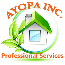 Ayopa Inc. Professional Services